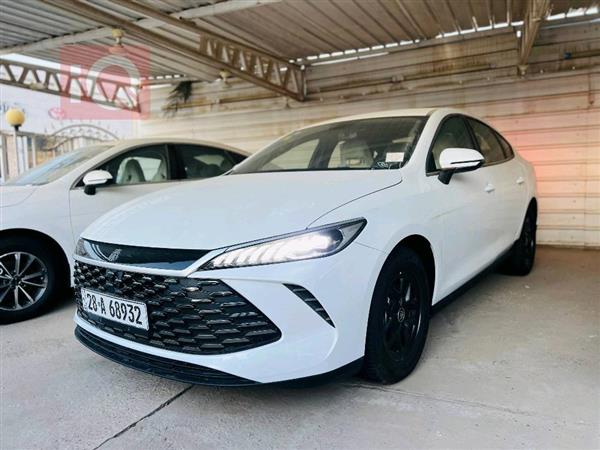 بی وای دی Qin Plus 2025  بۆ فرۆشتن لە عێراق - نەجەف